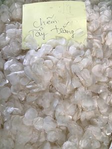 Écailles de poisson, produit tendance 2026, matière première marine naturelle du Vietnam - Product Image 4