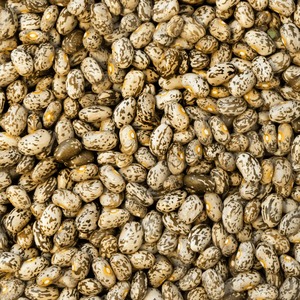 High Quality Pinto <b>Beans</b> Export Collection For Professional Buyers Featuring Uniform Size And Rich Nutritional - Product Image 6