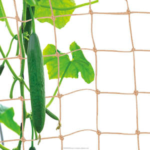 Biodegradable Heavy Duty Natural Jute <strong>Netting</strong> 6.6 Ft X 9.8 Ft <strong>3</strong>.9-Inch Squares Garden Trellis for Climbing Vining Plants - Product Image 3
