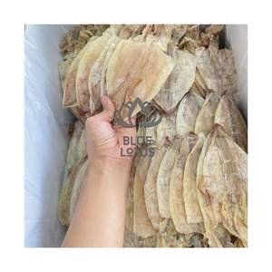 PRODUIT PHARE 2026 Calamar séché pour la gestion du régime alimentaire et les envies sucrées, pur, frais de l'océan, propre et sûr, en rouleau entier déchiqueté - Product Image 1