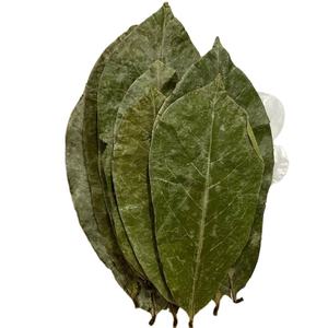 ใบทุเรียนเทศแห้งธรรมชาติ-ส่งออกขายส่ง | ต้นกำเนิดเวียดนาม - Product Image 1