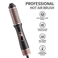 Brosse Sèche-Cheveux Compacte Ionique avec Technologie Anti-Frisottis à Ions Négatifs, Chaleur PTC et Utilisation Hôtelière pour un Coiffage Lisse et Brillant