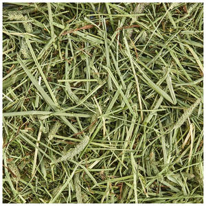 Heno de Timothy en pacas, heno de Timothy y pellets de heno de alfalfa en venta. Heno de Timothy para alimentación animal. - Product Image 2