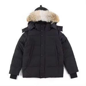 Veste d'hiver imperméable à capuche décontractée et ample en duvet pour les sports de plein air - Product Image 2