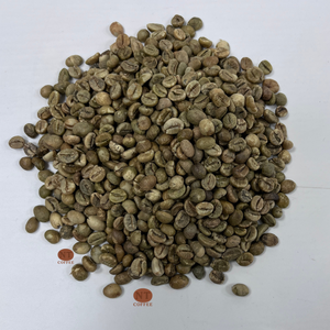 เมล็ดกาแฟโรบัสต้า S16 คั่วเขียวจากเวียดนามโดยตรงจากโรงงาน คาเฟอีนสูง รสชาติเข้มข้น ขายส่งจำนวนมาก รับผลิตแบบ OEM และฉลากสินค้าส่วนตัว - Product Image 1