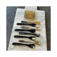 Cuillère en corne de qualité supérieure pour une dégustation fiable du caviar et une décoration de table élégante et sophistiquée – Lots en gros