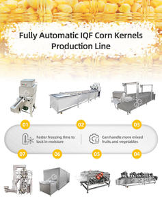 Machine à fabriquer du maïs congelé 100-5000 kg/h Ligne automatique de production de maïs doux de qualité alimentaire avec congélation IQF - Product Image 3