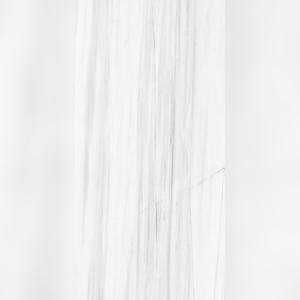 Cardamom <b>Pod</b> High Polish Gloss Vitrified Porcelain 600x1200mm Aromatic Spice for Culinary Schools - Product Image 5