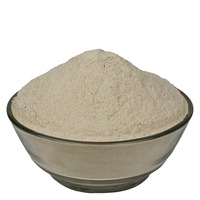 Poudre de racine de maca, fabricant Patil Foods India