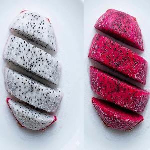 Premium Vietnam Origin IQF Frozen Dragon Fruit High Quality Bulk Export Standard Private Label OEM Supplier Certified Vacuum - Product Image 3