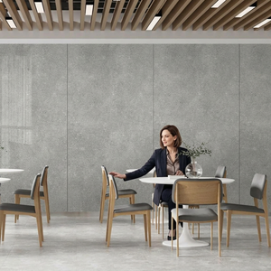 Dalles en pierre frittée de porcelaine Herican Grey, finition brossée polie, 1600x3200x20mm, pour murs extérieurs, routes, escaliers, jardins - Product Image 2