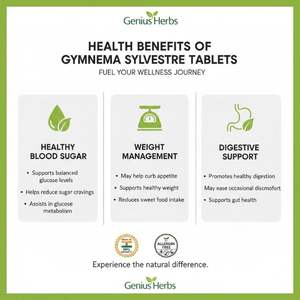 Comprimés de Gymnema Sylvestre Tropicale – Extrait Herbal Naturel en Gros – Formule Végétale Riche en Nutriments – Produit Essentiel pour un Mode de Vie Sain - Product Image 5