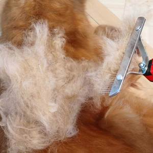 Peine ligero para el aseo diario de mascotas, peine profesional para desenredar y eliminar el pelo suelto, peine seguro para el pelo sin enredos - Product Image 5