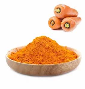 Poudre de carotte très demandée pour l'arôme des snacks et des smoothies, provenant d'un fabricant indien au meilleur prix - Product Image 5