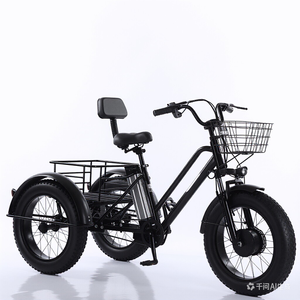 ยางสำหรับหิมะขนาด 20/24 นิ้ว แบตเตอรี่ลิเธียม 48V15a มอเตอร์ไร้แปรงถ่าน รถสามล้อไฟฟ้าแบบมีแป้นปั่นช่วยแรง จักรยานไฟฟ้าสามล้อ - Product Image 2