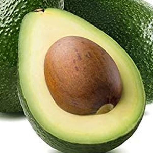 Avocat frais de qualité supérieure, variété Hass, peau épaisse, idéal pour les guacamoles, les salades et les garnitures - Product Image 4