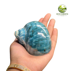 เปลือกหอยมุกเทอร์โบสีเขียวธรรมชาติเหลือบรุ้ง สำหรับตกแต่งบ้านริมชายฝั่ง วัสดุเติมแจกัน งานแต่งงาน ขายส่งจำนวนมาก - Product Image 1