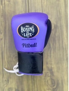 Custom Made Professional No Boxing No Life Purple and Blue Sparring Set Including Boxing <b>Gloves</b> - Headgear - Groin Guard - Product Image 3