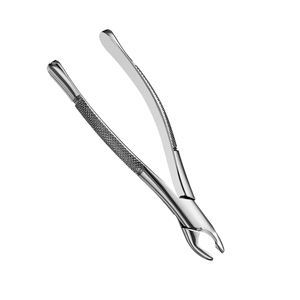 Proveedor Mayorista con MOQ Bajo y Servicio OEM, Fórceps Dentales de Alta Precisión para Extracción de Dientes de Animales, Venta al Por Mayor - Product Image 6