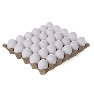 Huevos de Gallina Blancos Frescos de Granja Natural, Exportador a Granel, Proveedor de Huevos de Mesa de Primera Calidad para Mercados Globales - Product Image 4