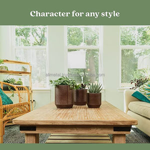 Chậu Hoa Tròn Và Chậu Trồng Cây Vàng Và Đồng Có Lỗ Thoát Nước Tuyệt Vời Cho Cây Xương Rồng Hoặc Cây Rắn - Product Image 3