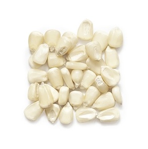 Maíz Blanco 100% Natural de Calidad para Consumo Humano y Alimentación Animal, Empaque Personalizado de Alta Calidad OEM - Product Image 2