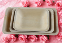 Barquette carrée jetable en feuille de palmier, très résistante, 8 pouces de profondeur, biodégradable, écologique, pour la restauration à emporter et usage occasionnel