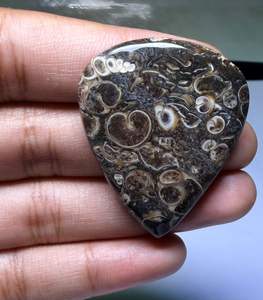 Lote al por mayor de cabujones de ágata TURRITELLA por peso con diferentes formas y tamaños utilizados para la fabricación de joyas, piedra TURRITELLA - Product Image 3