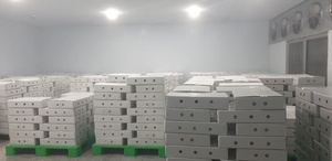 Vietnam IQF Frozen Passion Fruit Seeds and <b>Pulp</b> – Trusted Supplier for Beverage, Bakery, Dessert and Food Processing - Product Image 5