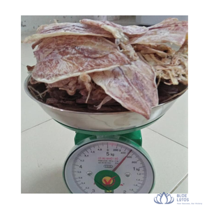 สินค้าขายดี |   ปลาหมึกแห้งบลูโลตัส พรีเมียม อาหารทะเล บรรจุภัณฑ์สุญญากาศ สำหรับปรุงอาหาร ย่าง ขายส่ง คาเมา - Product Image 6