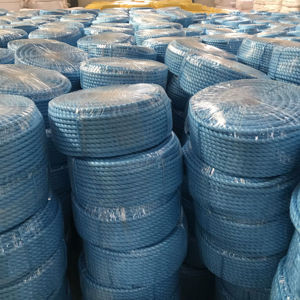 Multipack Cordes Bleues 14mm 18mm 20mm 24mm Cordon Plat en Nylon Corde Industrielle en Polyester et Polypropylène à Haute Résistance à la Traction - Product Image 1