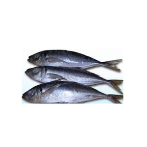 Pescado macarela fresco cuidadosamente seleccionado para los mercados minoristas y de servicios de alimentos - Product Image 2