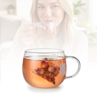 Grande tasse à thé en verre avec poignée 330 ml / 11,27 oz, non toxique, sans BPA, en borosilicate, pour le fitness, les herbes, le thé détox, l'eau bien-être