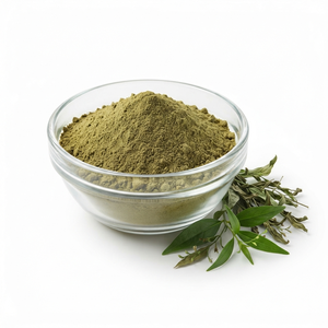 Polvo de Andrographis Paniculata Premium, Polvo de Kalmegh, Polvo de Hoja de Andrographis Paniculata Natural a Granel - Product Image 1