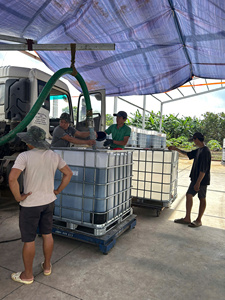 PRIX D'USINE - DIRECT ET ABORDABLE Mélasse de canne à sucre du Vietnam brix 78% min - Product Image 5