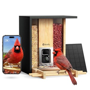 Comedero para pájaros ecológico de bambú compuesto - Venta al por mayor desde India - Product Image 1