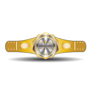 Cinturones de Campeonato Personalizados Profesionales de Fabricante, Cinturones de Campeonato de Lucha Libre, Boxeo y Artes Marciales de Metal y Cuero - Product Image 4
