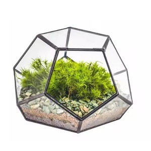 Vintage Metal Terrarium Glass Planter Elegant Geometric Indoor Plant <b>Display</b> <b>Case</b> Home Decor - Product Image 2