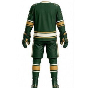 Tenue de joueur de hockey avancé personnalisée : Maillot, pantalon, gants, chaussettes – Légère et durable pour les sports de glace - Product Image 2