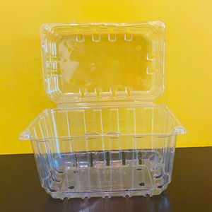 BPA Free Disposable Custom Logo Food-grade PET <b>Clear</b> Plastic Container for Fruit & <b>Cake</b> Fresh Keeping Packaging - Product Image 5