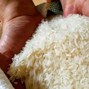 Arroz Blanco Duro de Grano Largo 504, 3% de Grano Partido, Sin OMG, 100% Natural, Modelo PG-02, Dong Thap, Cosecha 2025, Hecho en Vietnam - Product Image 5