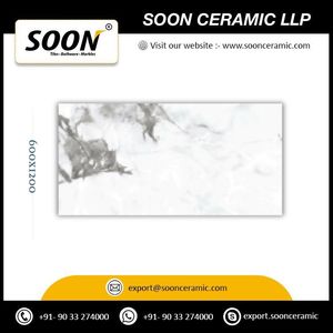 New Modern Design ALBINO-GRIS 600x1200 High Gloss Porcelain Floor <b>Tiles</b> from India - Product Image 5