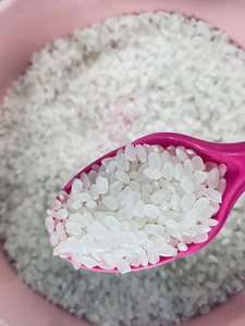 ข้าวญี่ปุ่นคุณภาพสูง ข้าวขาวเนื้อนุ่มเมล็ดสั้น 100% สำหรับซูชิ โคชิฮิคาริ คาลโรส ข้าวสด WS +84393250278 - Product Image 4