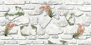 Carreaux muraux Premium Choice de qualité supérieure, carreaux d'élévation Asia Tiles 300x600mm pour articles de santé. - Product Image 2