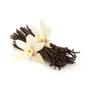 <b>Vanilla</b> <b>Beans</b> wholesale bulk supply affordable price premium grade fast dispatch - Product Image 2