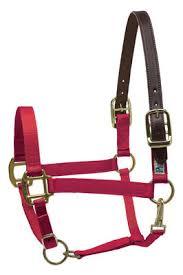 Bridon de cheval en nylon 100% original personnalisé, confortable, imperméable, pour l'équitation, le dressage, style selle anglaise, en PVC, WESTERN - Product Image 5