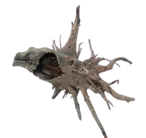 Bois creux naturel pour aquarium, bois flottant en gros, décoration pour terrarium et aquarium - Product Image 2