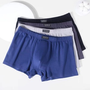 Men's Spandex/Polyester <b>Boxer</b> Briefs-Quick Dry Knitted Fabric <b>Custom</b> Logo Options OEM Service Wholesale Sportswear Supply - Product Image 2