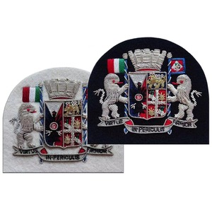 Insignias y Parches Bordados a Mano con Hilo de Bullion, OEM, Personalizados, de Alta Calidad, Proveedor de Tamaños Personalizados, Cobre para Blazer - Product Image 4