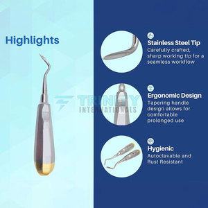 Elevador de Raíces Dentales Angular, Instrumento Dental Oral de Precisión para Procedimientos de Extracción - Product Image 6